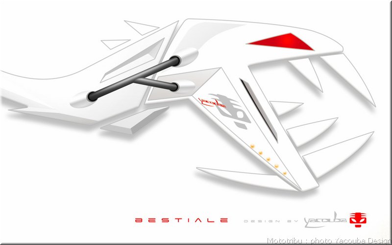 yacouba-bestiale_04