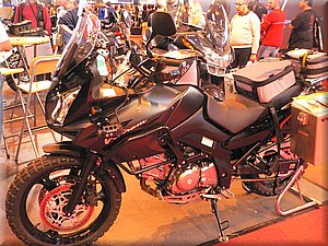 divers-mondial2007-044.JPG