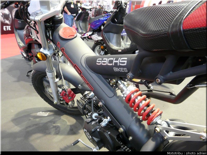 sachs_05