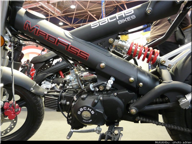 sachs_06