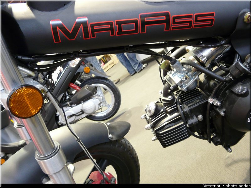 sachs_07