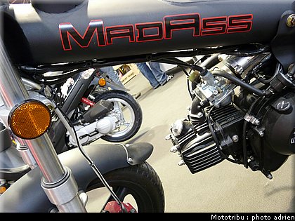 sachs_07.JPG