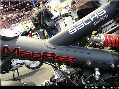 sachs_08.JPG