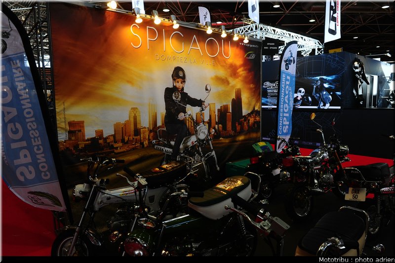 0129_spigaou