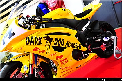 0030_dark_dog_5.JPG