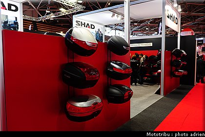 0124_shad_2.JPG