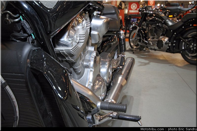 road_muscle_1_bruxelles_2010_0107