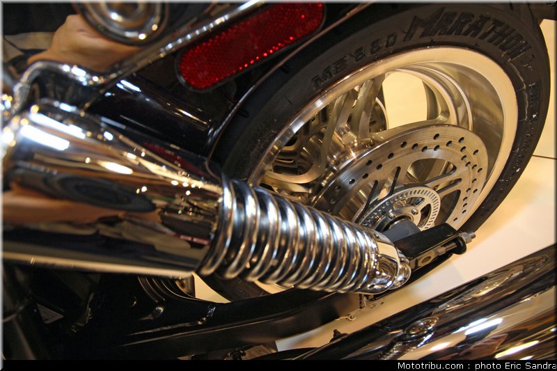triumph_thunderbird_6_bruxelles_2010_0143
