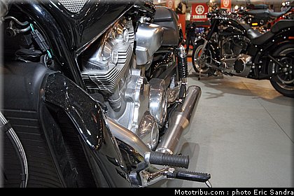 road_muscle_1_bruxelles_2010_0107.jpg