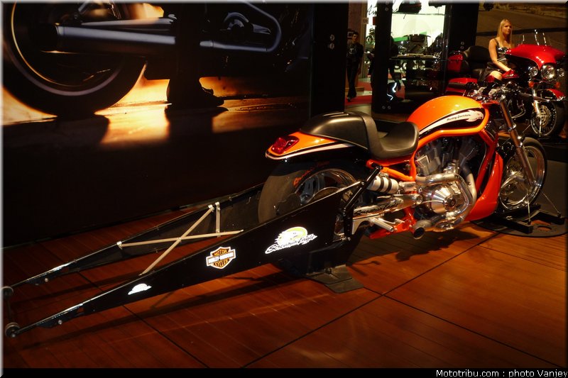 milan_eicma_2010_0002