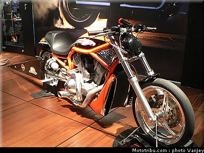 milan_eicma_2010_0086.JPG
