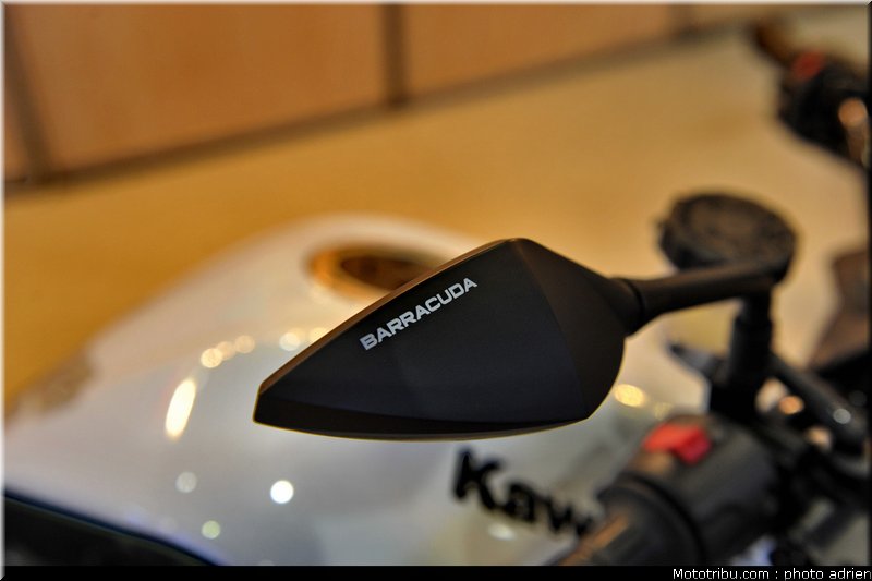barracuda_1_jpms_2010_0015
