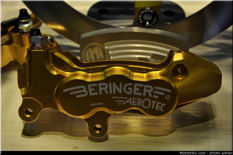 beringer_1_jpms_2010_0020