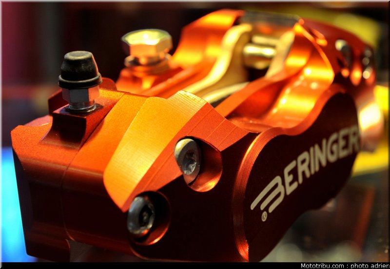 beringer_2_jpms_2010_0021