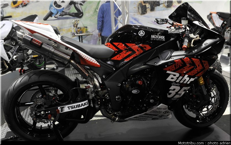 bihr_jpms_2010_0022