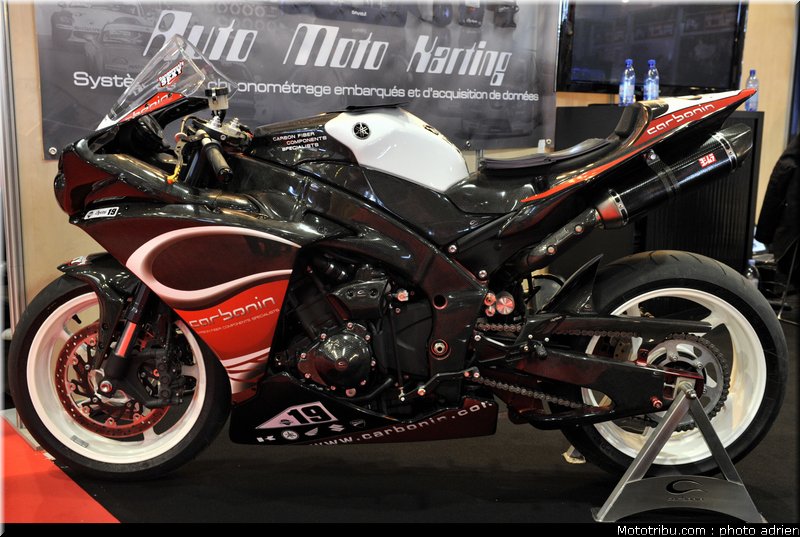 carbonin_jpms_2010_0033