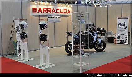 barracuda_2_jpms_2010_0016.JPG