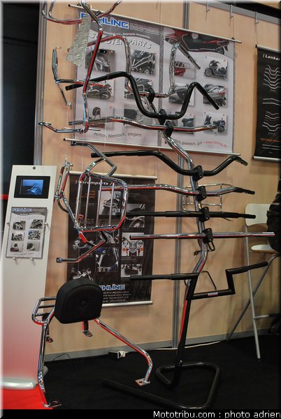 jpms_2011_fehling_2