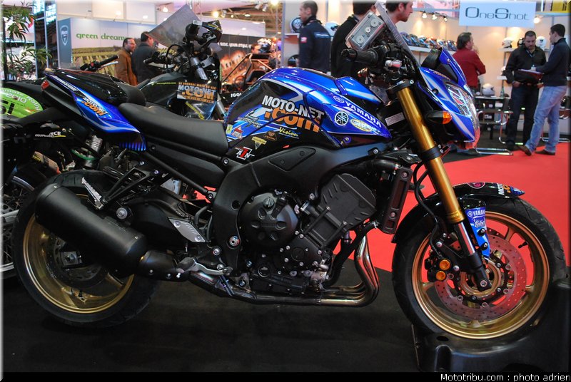 jpms_2011_motonet_2