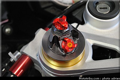 jpms_2011_bihr_09.JPG