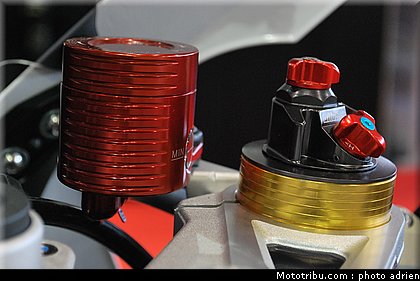jpms_2011_bihr_10.JPG