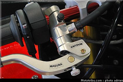 jpms_2011_bihr_11.JPG