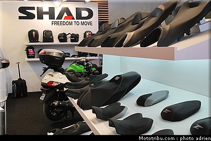 jpms_2011_shad.JPG