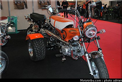 jpms_2011_spigaou_1.JPG