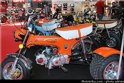 jpms_2011_spigaou_2.JPG