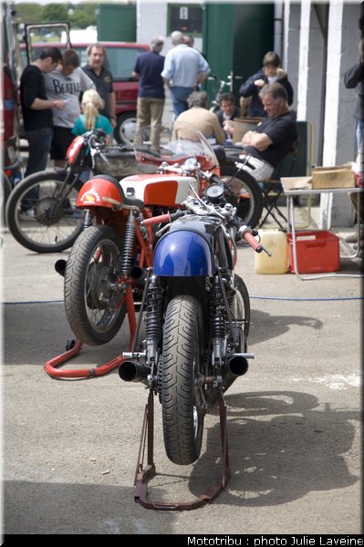 paddock_12