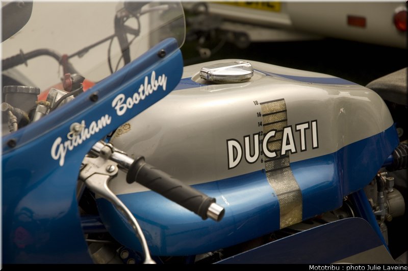 paddock_17