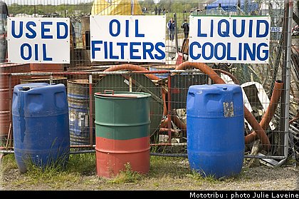 paddock_03.jpg