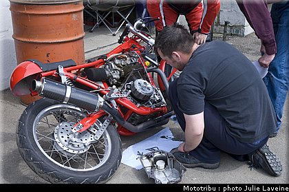 paddock_06.jpg