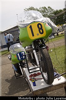 paddock_23.jpg