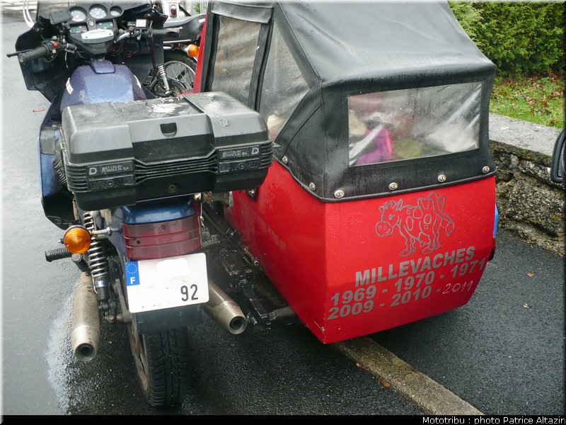concentration_hivernale_des_millevaches_2011_31