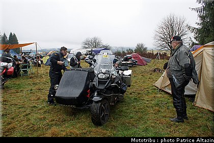 concentration_hivernale_des_millevaches_2011_09.jpg