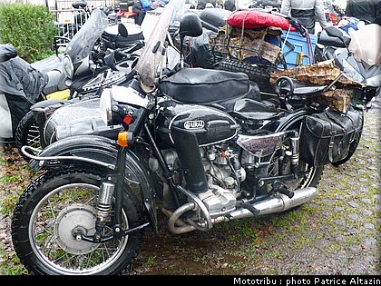 concentration_hivernale_des_millevaches_2011_29.jpg