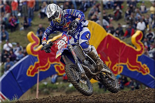 cairoli_1.jpg