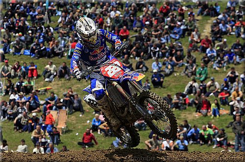 cairoli_4.jpg