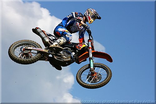searle_4.jpg