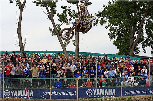 cairoli_1.jpg