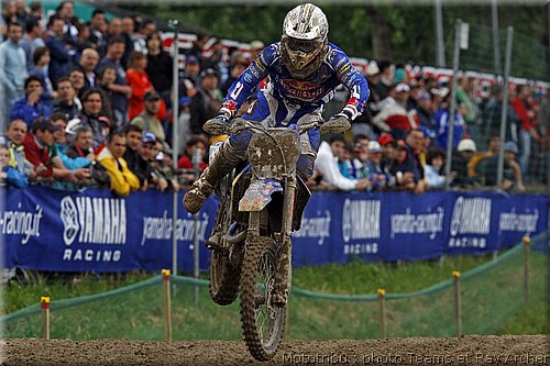 cairoli_3.jpg
