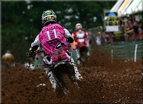 paulin2.jpg