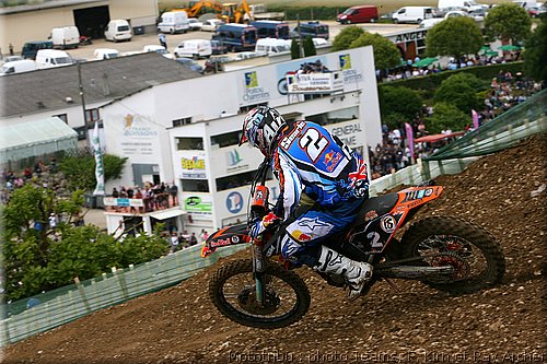 searle_5.jpg