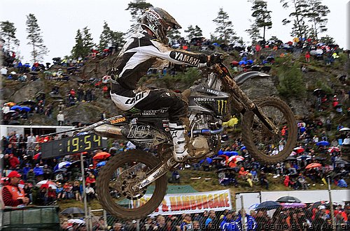 philippaerts_01.jpg