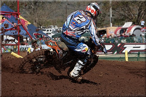 searle_2.jpg