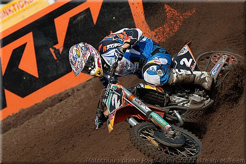 searle_4.jpg