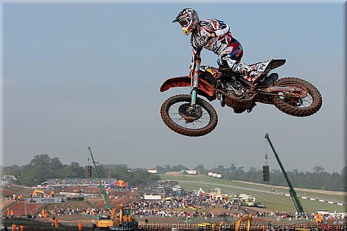 searle_4.jpg