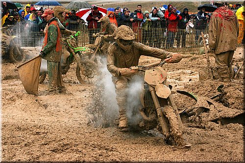 bellpuig2008_12.jpg