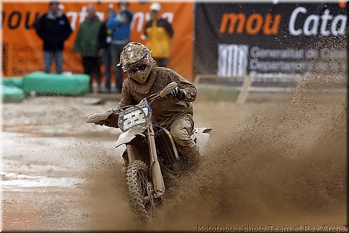 cairoli_6.jpg
